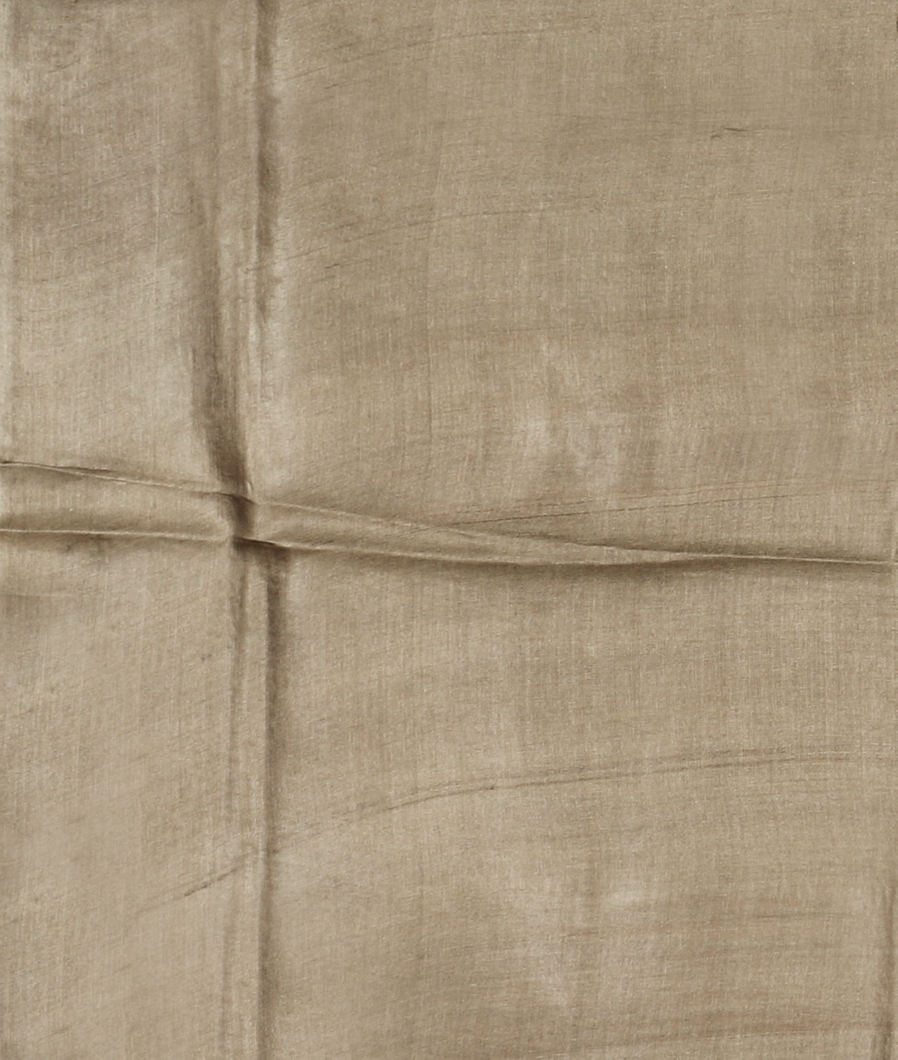 Beige Tussar Printed Saree T3891573