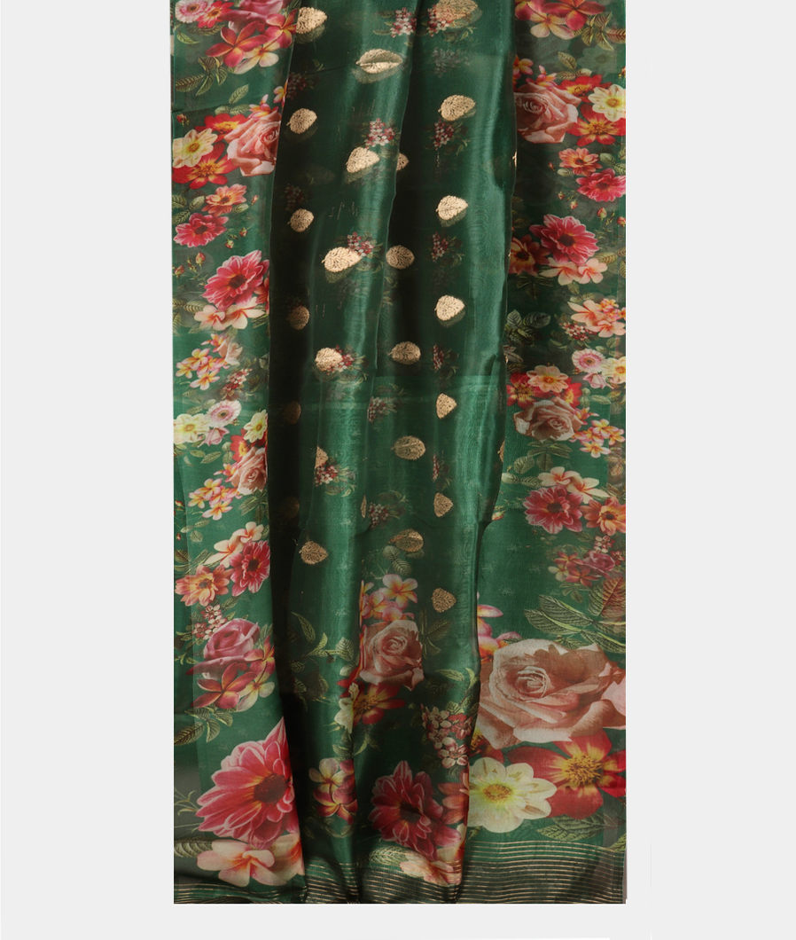 Green Kora Organza Printed Saree T4163502