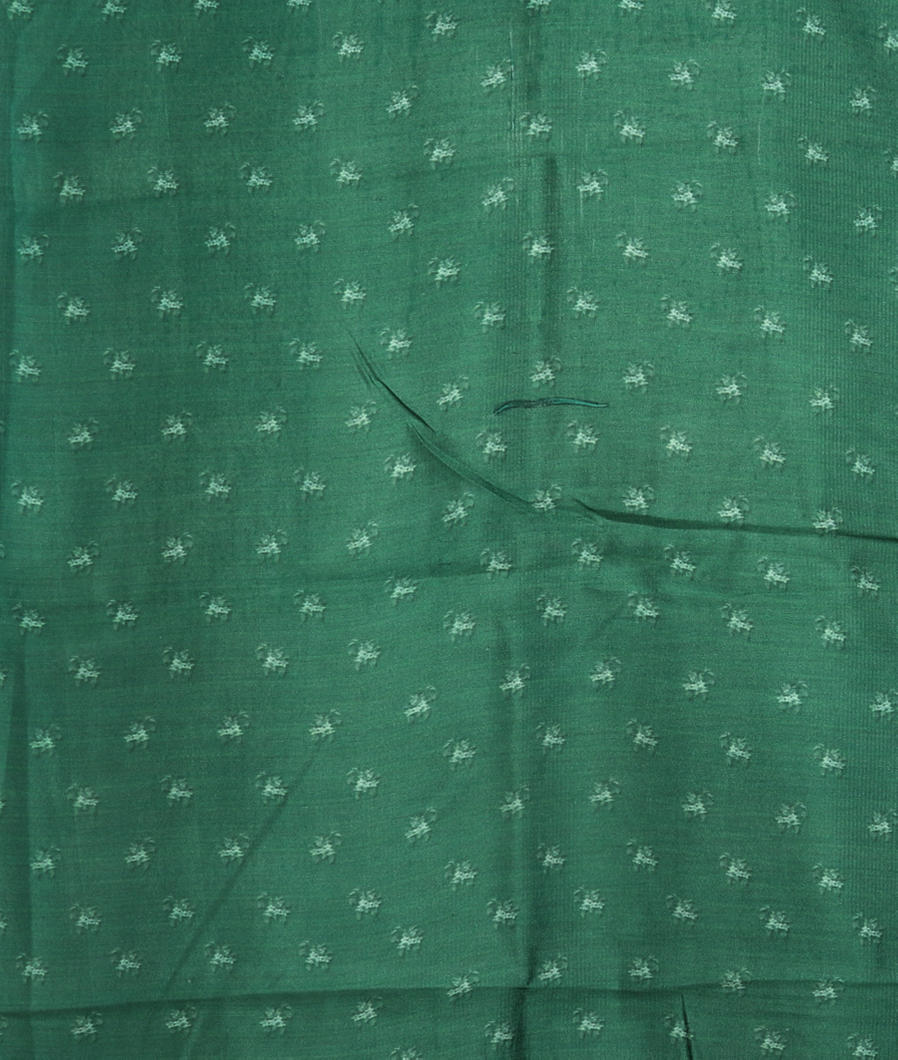 Green Kora Organza Printed Saree T4163503