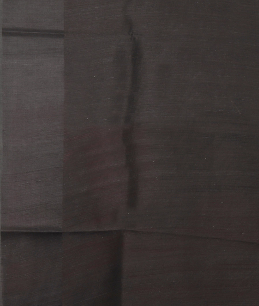 Black Tussar Printed Saree T4048513