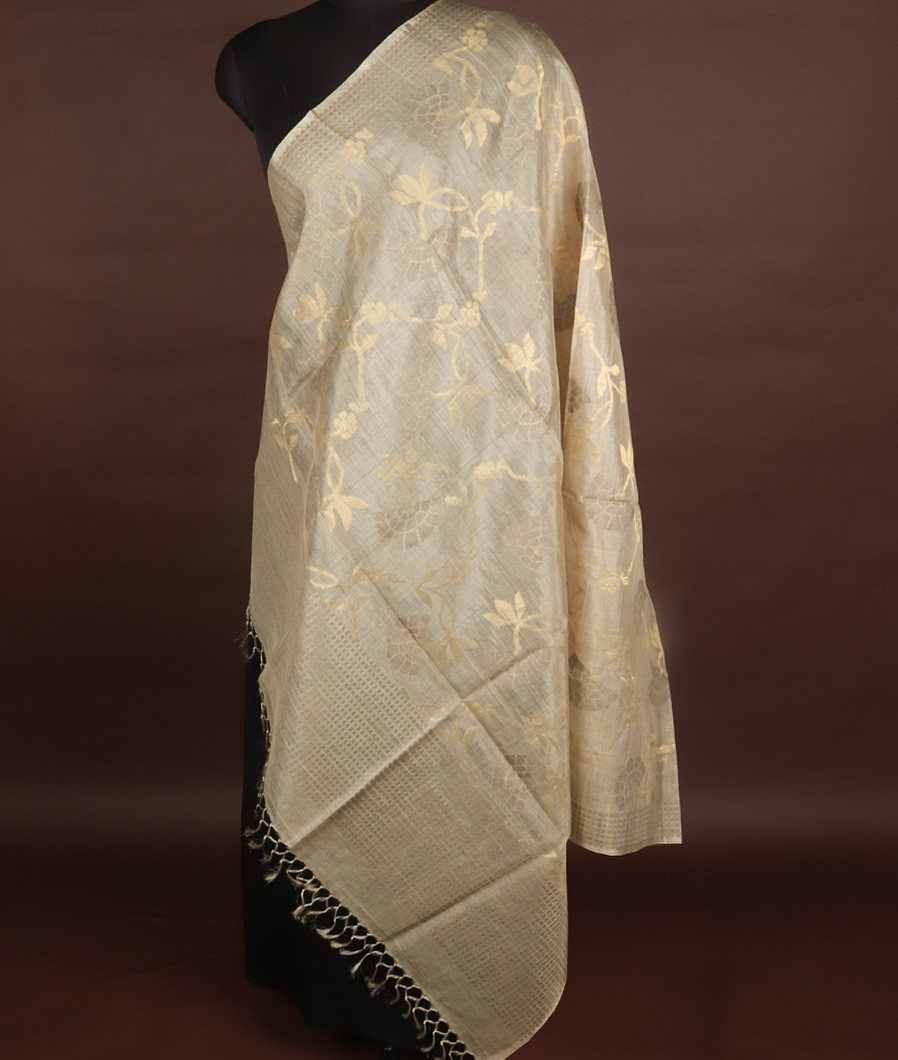 Beige Tissue Tussar Dupatta T119478-image