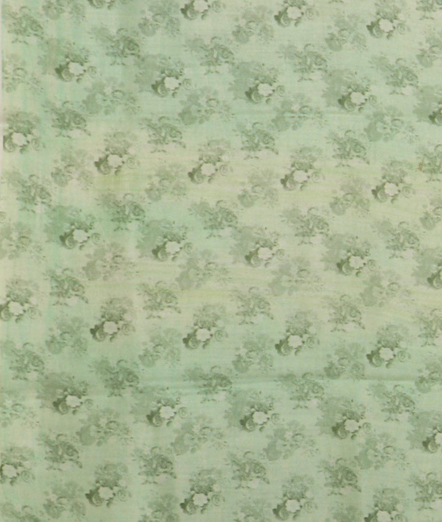 Green Kora Organza Printed Saree T3553773