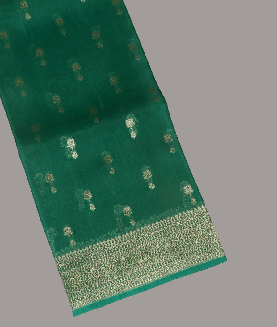 Green Banaras Organza Saree T399839-image