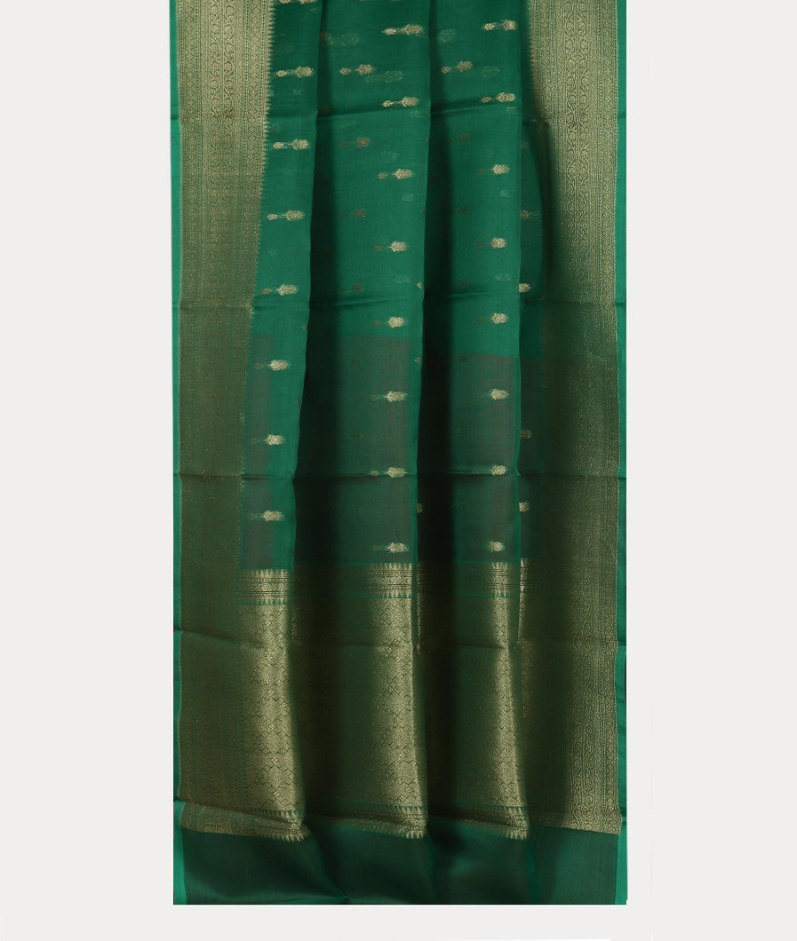 Green Banaras Organza Saree T3998392