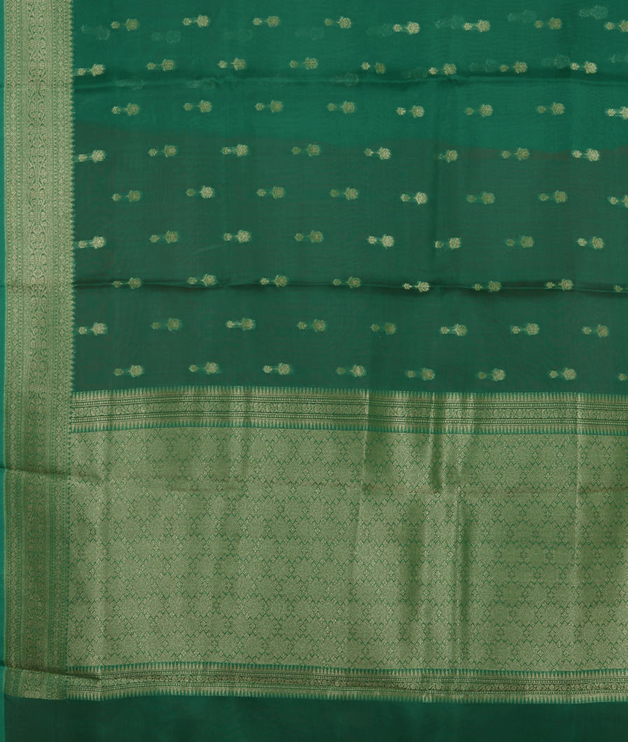 Green Banaras Organza Saree T3998394