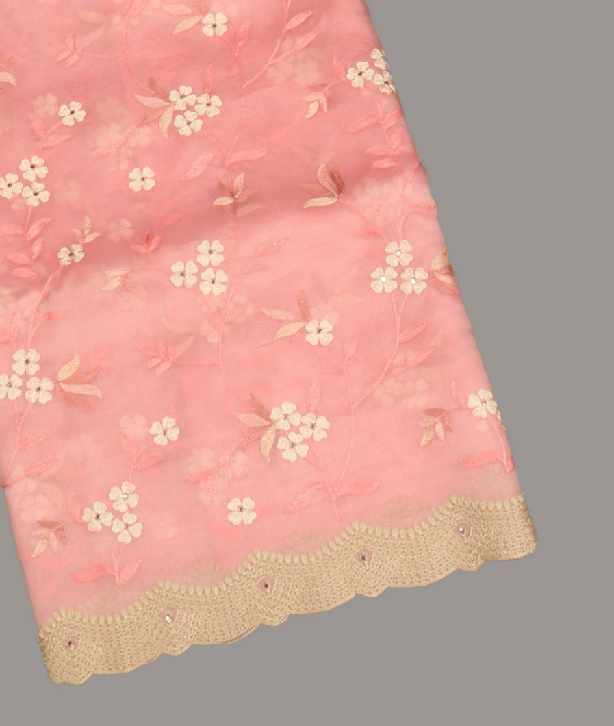 Pink Kora Organza Embroidery Saree T381159-image