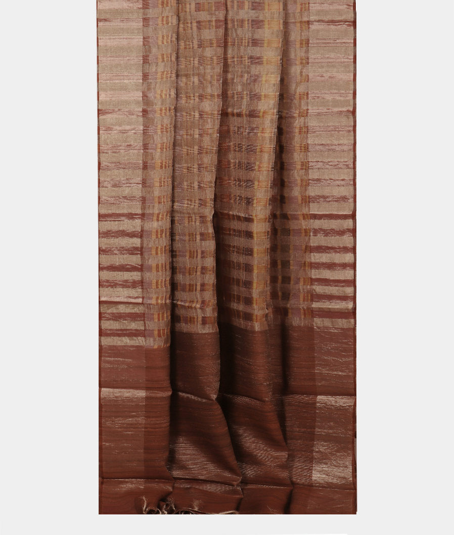 Brown Tissue Tussar Printed Saree T3717212