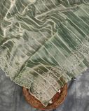 Green Kora Tissue Organza Embroidery Saree T4294331