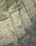 Green Kora Tissue Organza Embroidery Saree T4294332