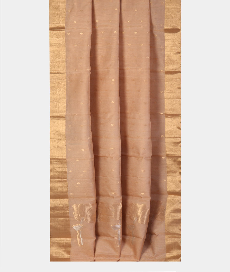 Beige Silk Cotton Saree T4361482