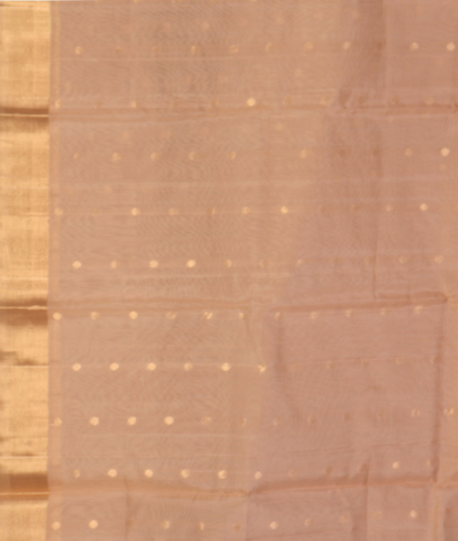 Beige Silk Cotton Saree T4361483