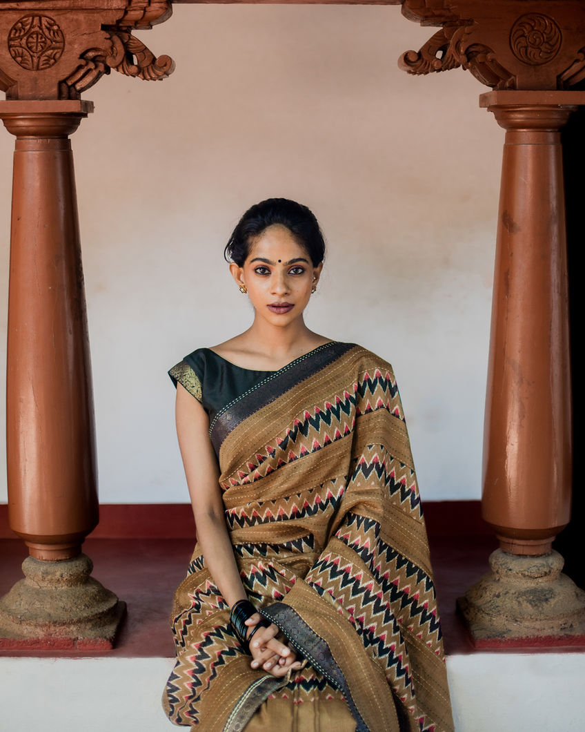 Brown Tussar Printed Saree T4353242