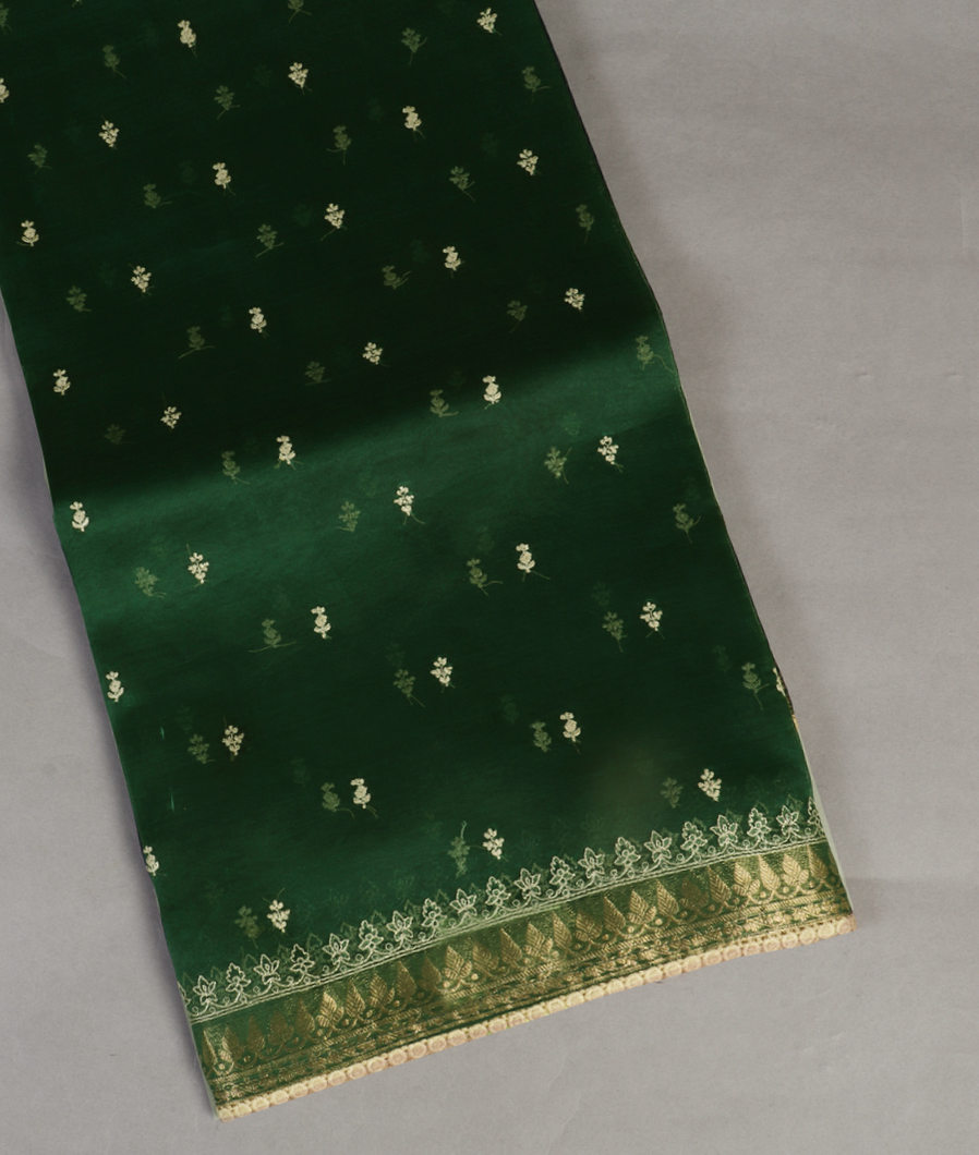 Green Kora Organza Embroidery Saree T414533-image