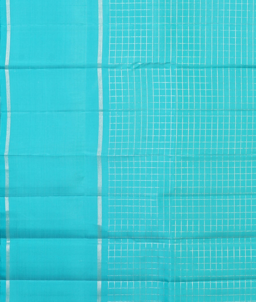Light Green Handwoven Kanjivaram Silk Saree T4375083