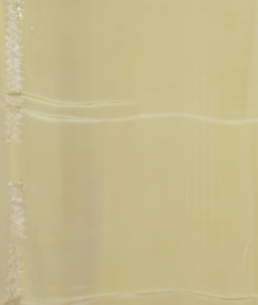 Yellow Kora Organza Printed Saree T3696393