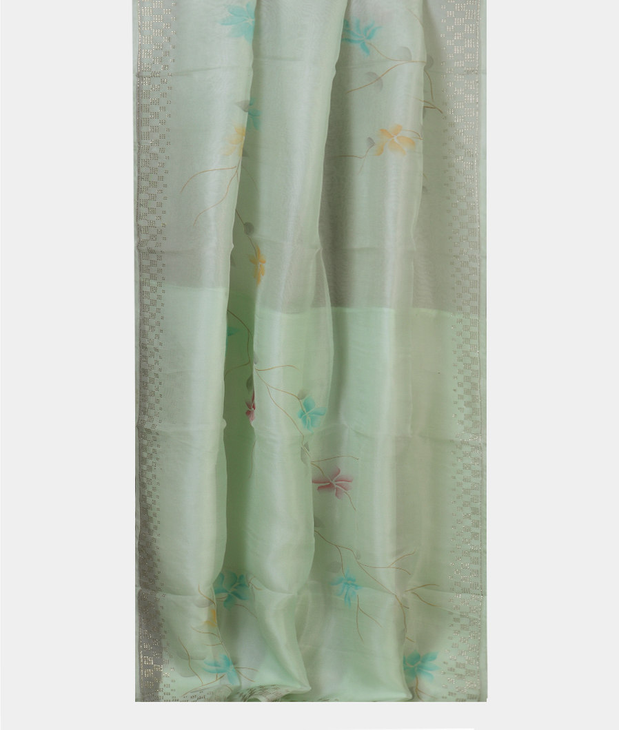 Light Green Kora Organza Printed Saree T3696352