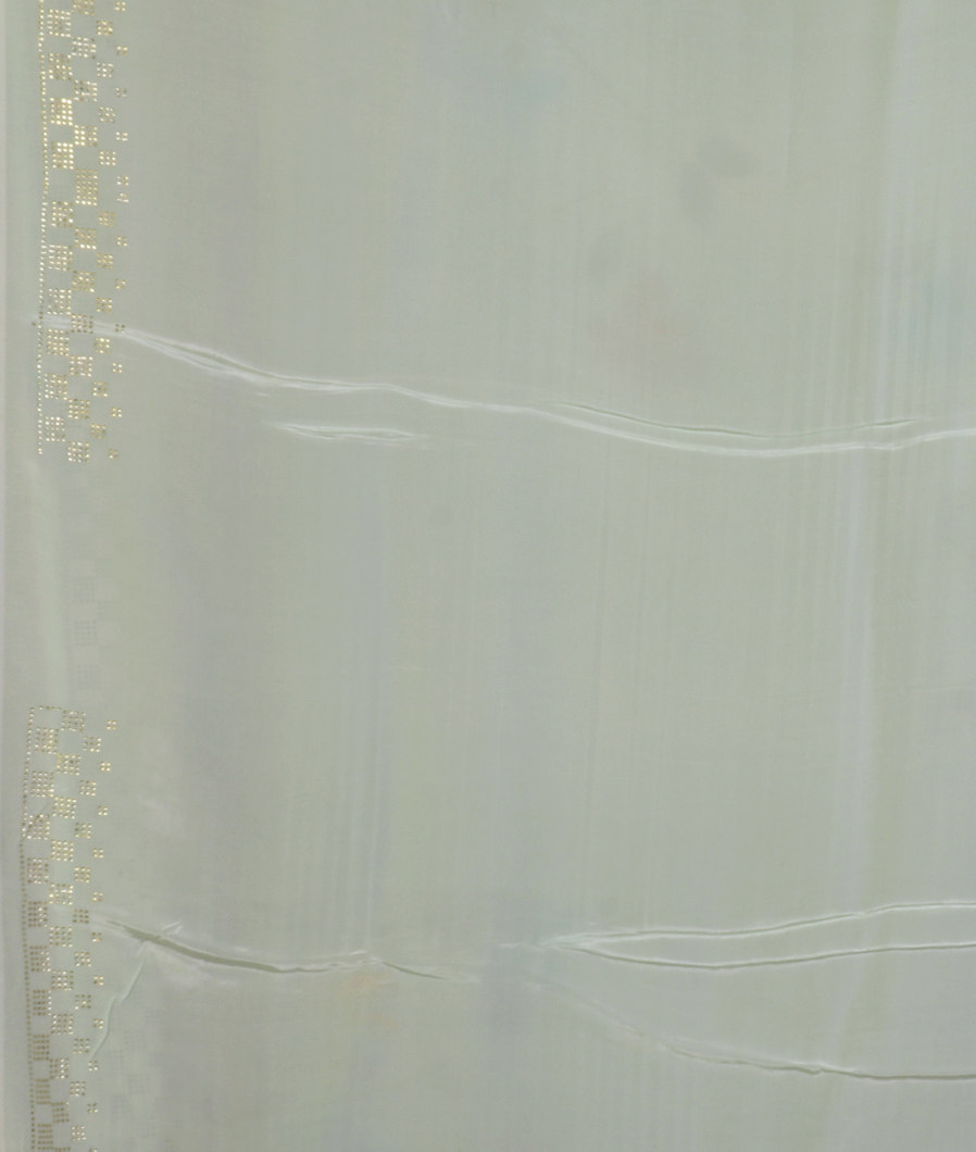 Light Green Kora Organza Printed Saree T3696353