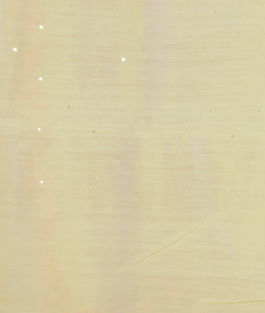 Yellow Kora Organza Embroidery Saree T3811493