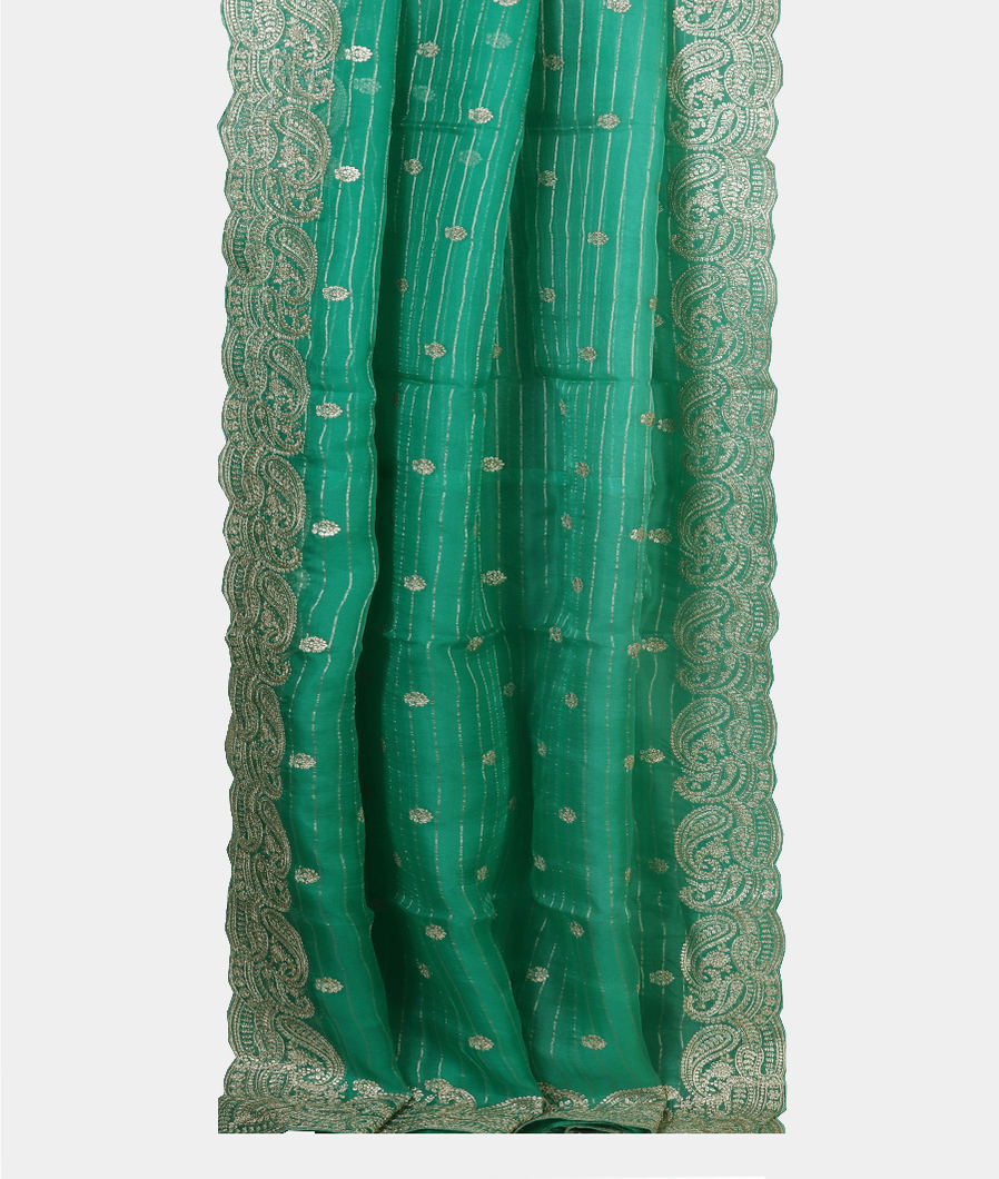 Green Kora Organza Embroidery Saree T4327662