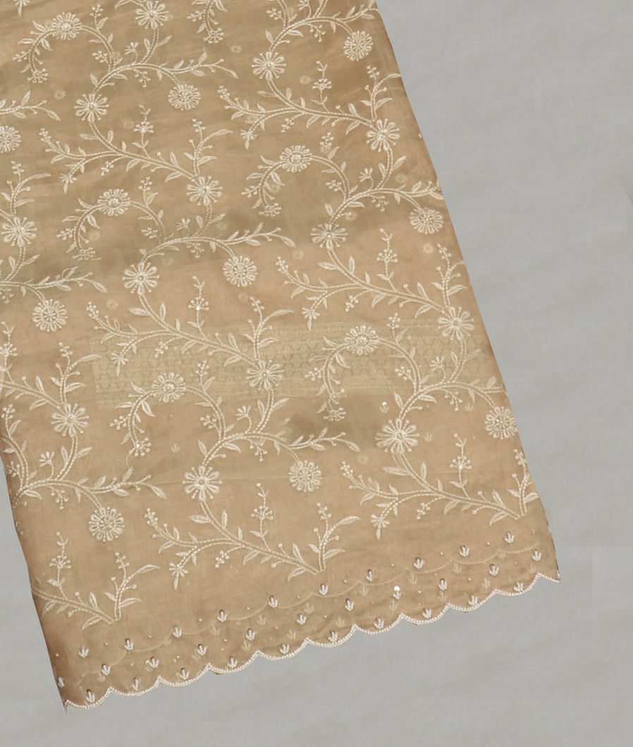 Beige Kora Tissue Organza Embroidery Saree T403687-image