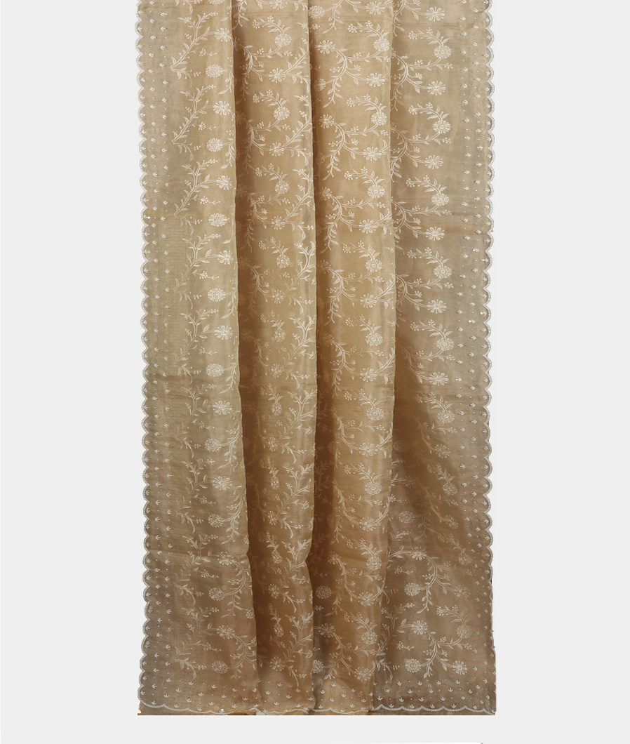 Beige Kora Tissue Organza Embroidery Saree T4036872