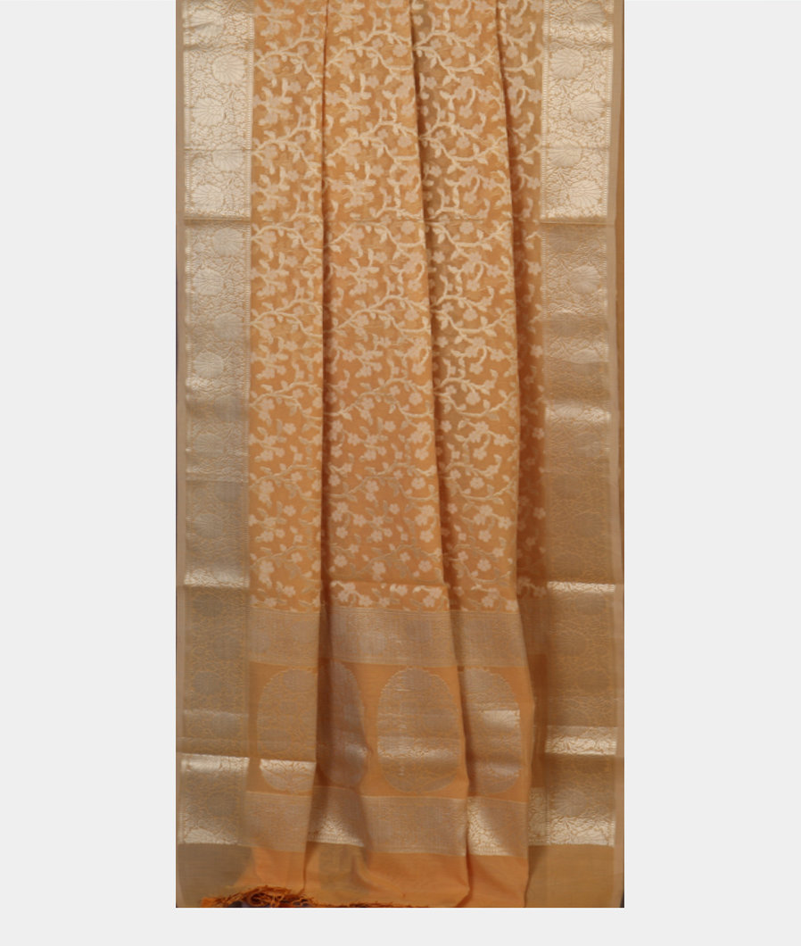 beige-banaras-cotton-saree-t441715-t441715-b