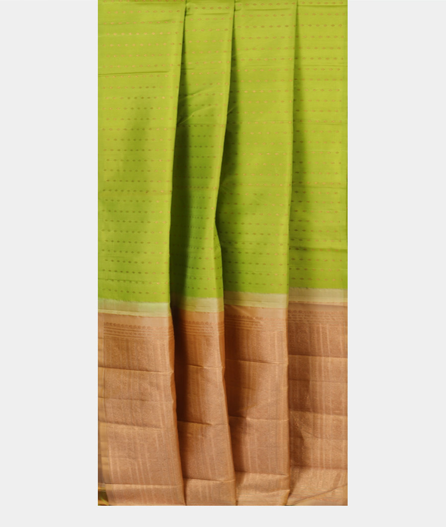 Green Handwoven Kanjivaram Silk Saree T3617442