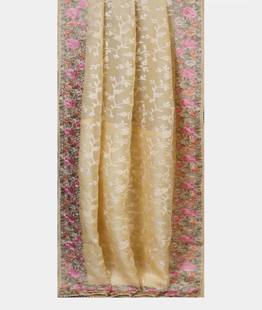 light-yellow-kora-organza-embroidery-saree-t344080-t344080-b