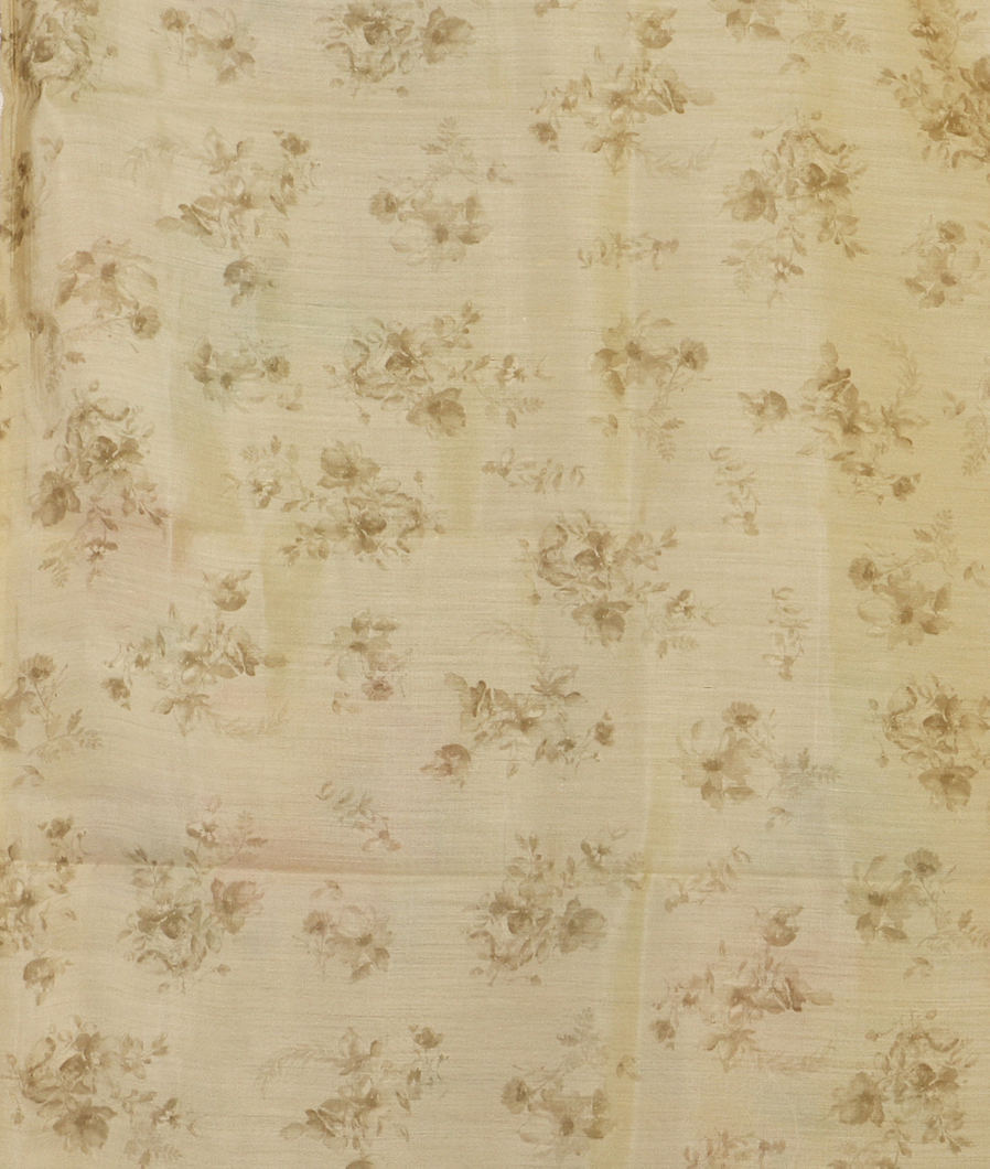 beige-kora-organza-printed-saree-t442068-t442068-c