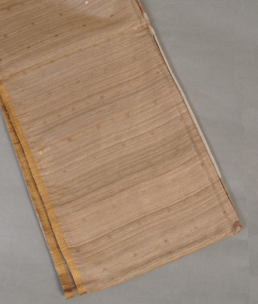 Beige Handwoven Tussar Saree T433197-image