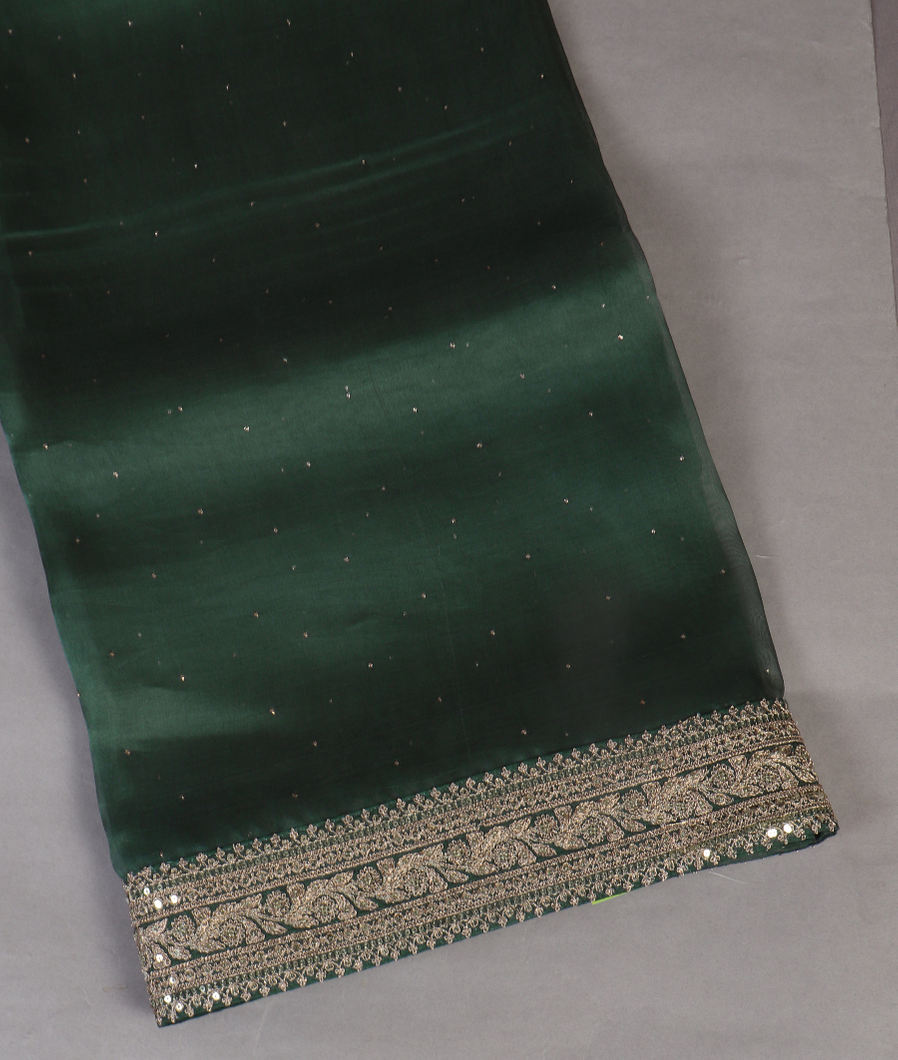 Green Kora Organza Embroidery Saree T432620-image