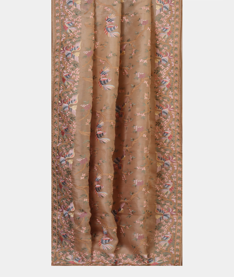 beige-kora-organza-embroidery-saree-t431780-t431780-b