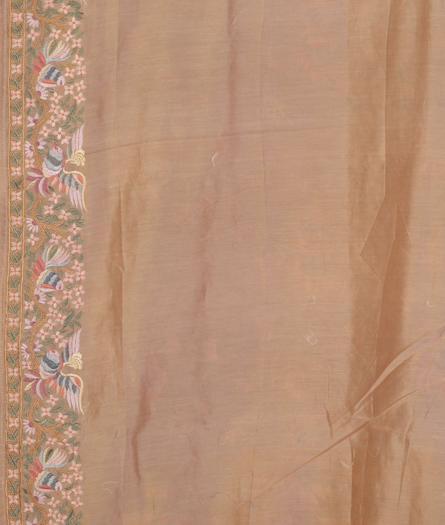 beige-kora-organza-embroidery-saree-t431780-t431780-c
