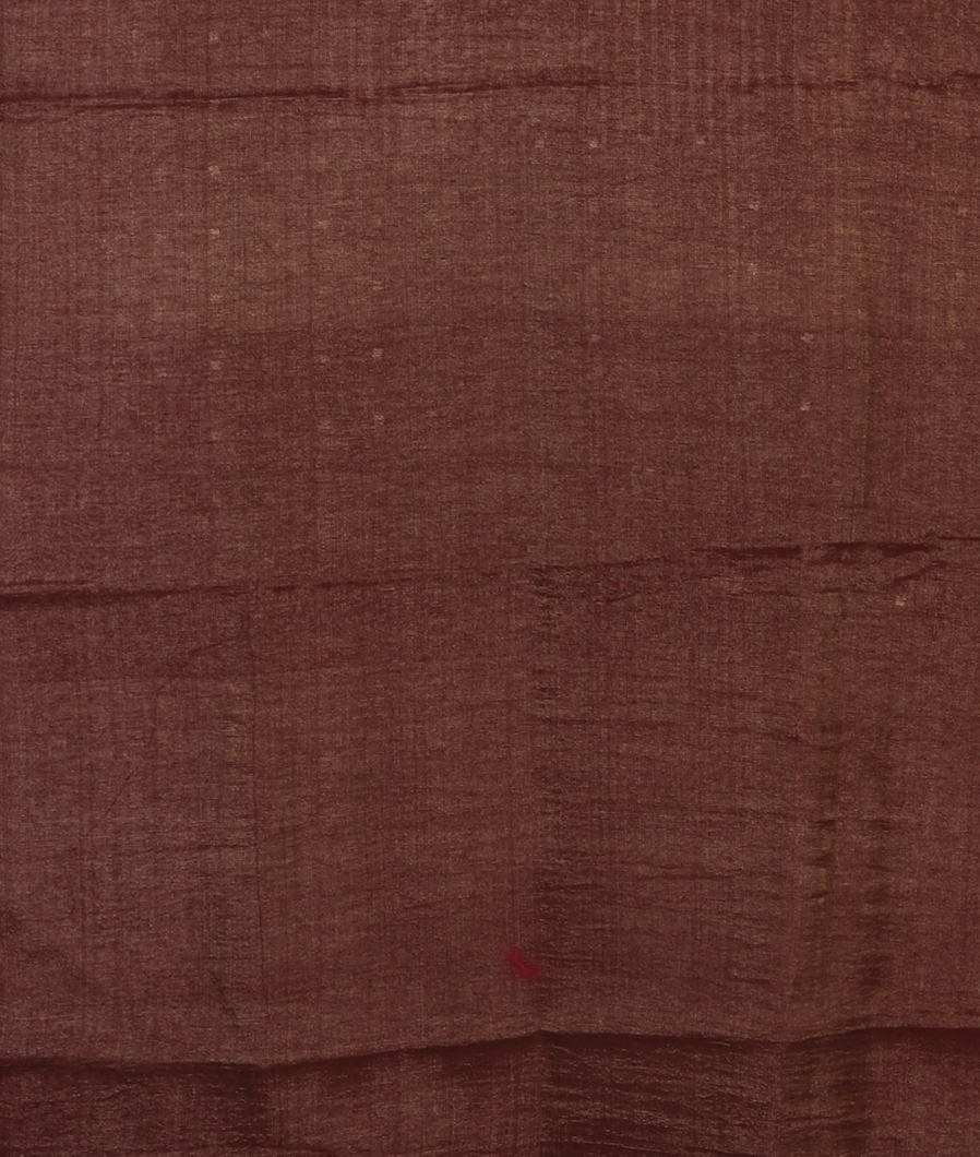 Brown Tissue Tussar Printed Saree T4174173