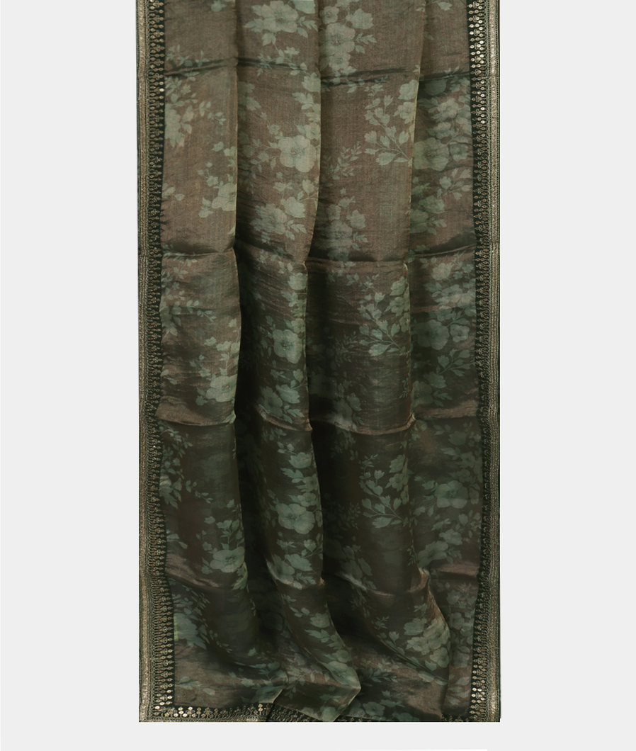 green-kora-tissue-organza-embroidery-saree-t447067-t447067-b