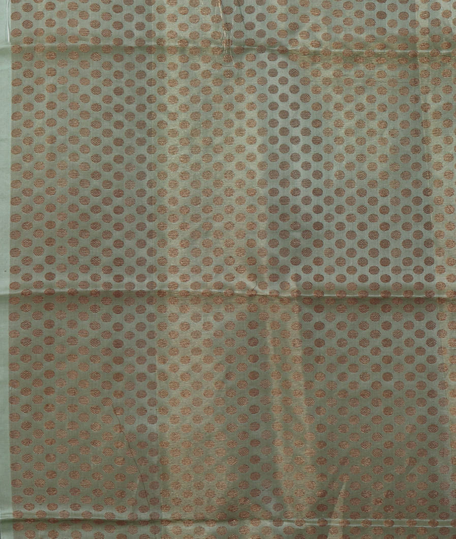 Green Banaras Organza Saree T4259573