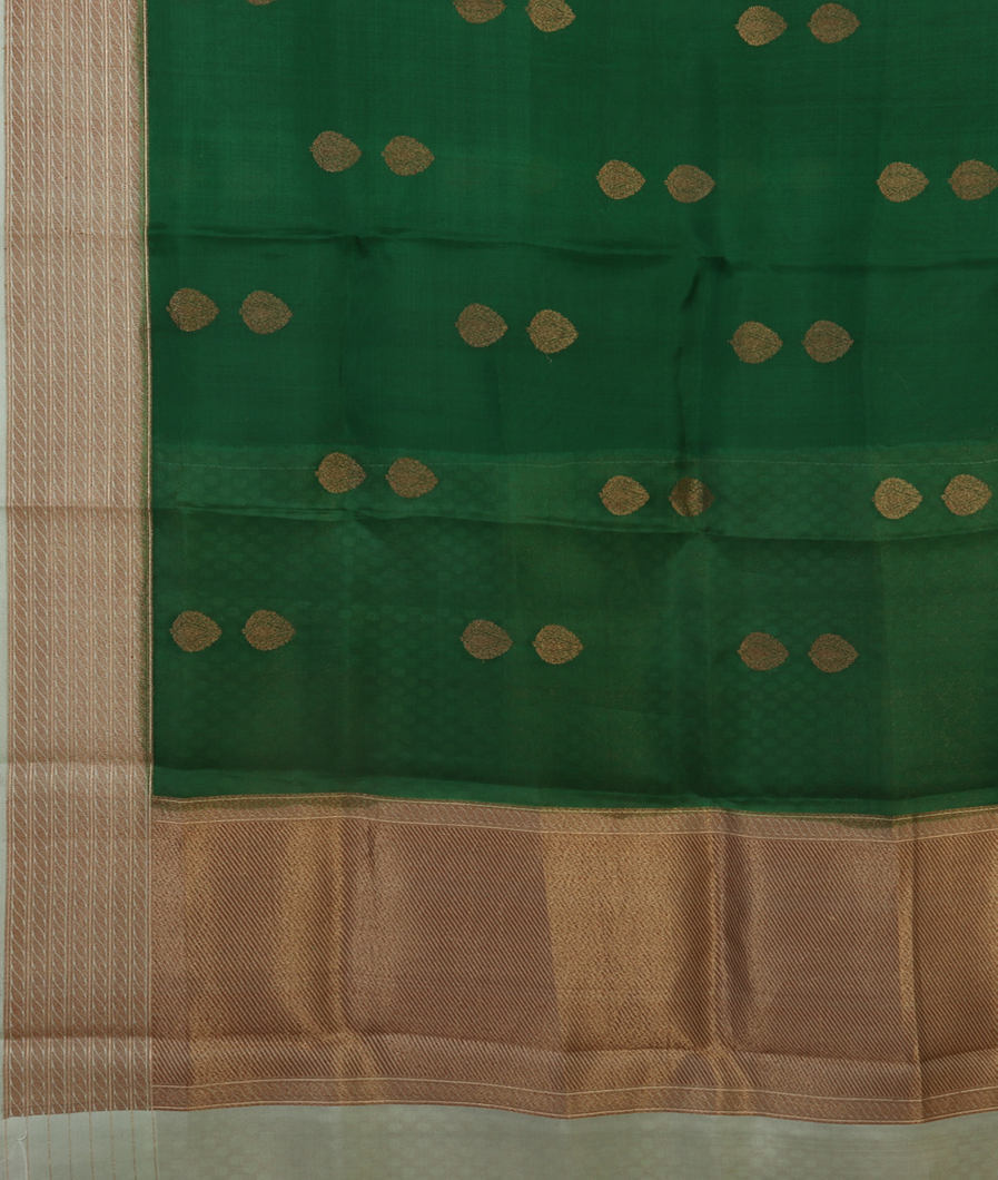 Green Banaras Organza Saree T4259574
