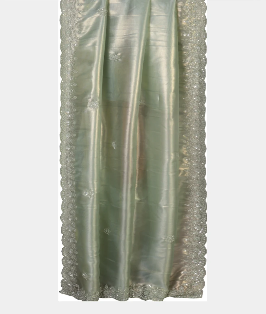 green-kora-tissue-organza-embroidery-saree-t450374-t450374-b