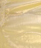 Light Yellow Kora Tissue Organza Embroidery Saree T4503903