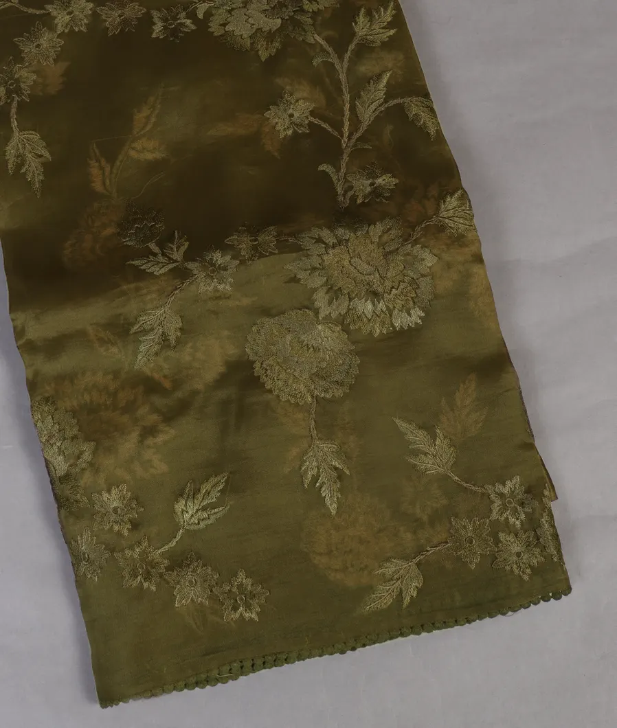Green Kora Organza Embroidery Saree T454798-image