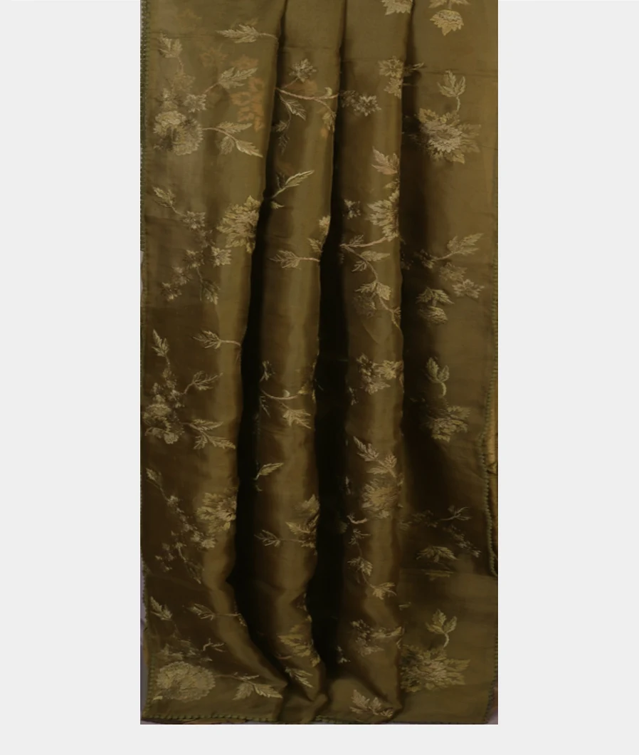 green-kora-organza-embroidery-saree-t454798-t454798-b