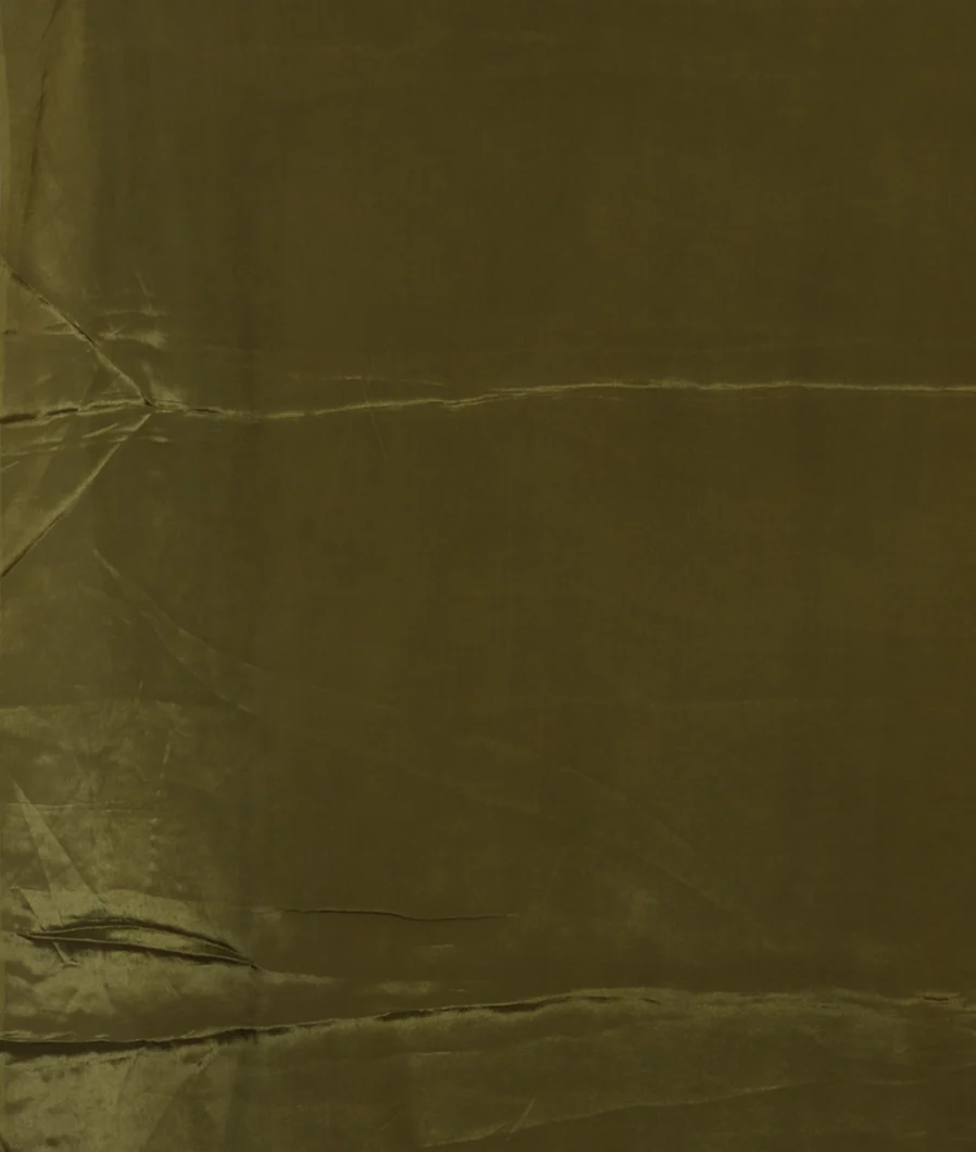 green-kora-organza-embroidery-saree-t454798-t454798-c