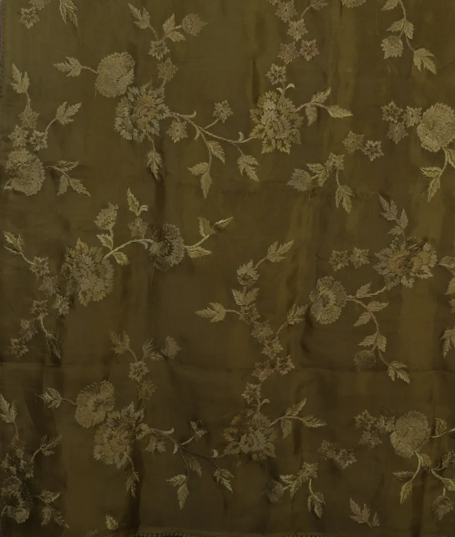 green-kora-organza-embroidery-saree-t454798-t454798-d