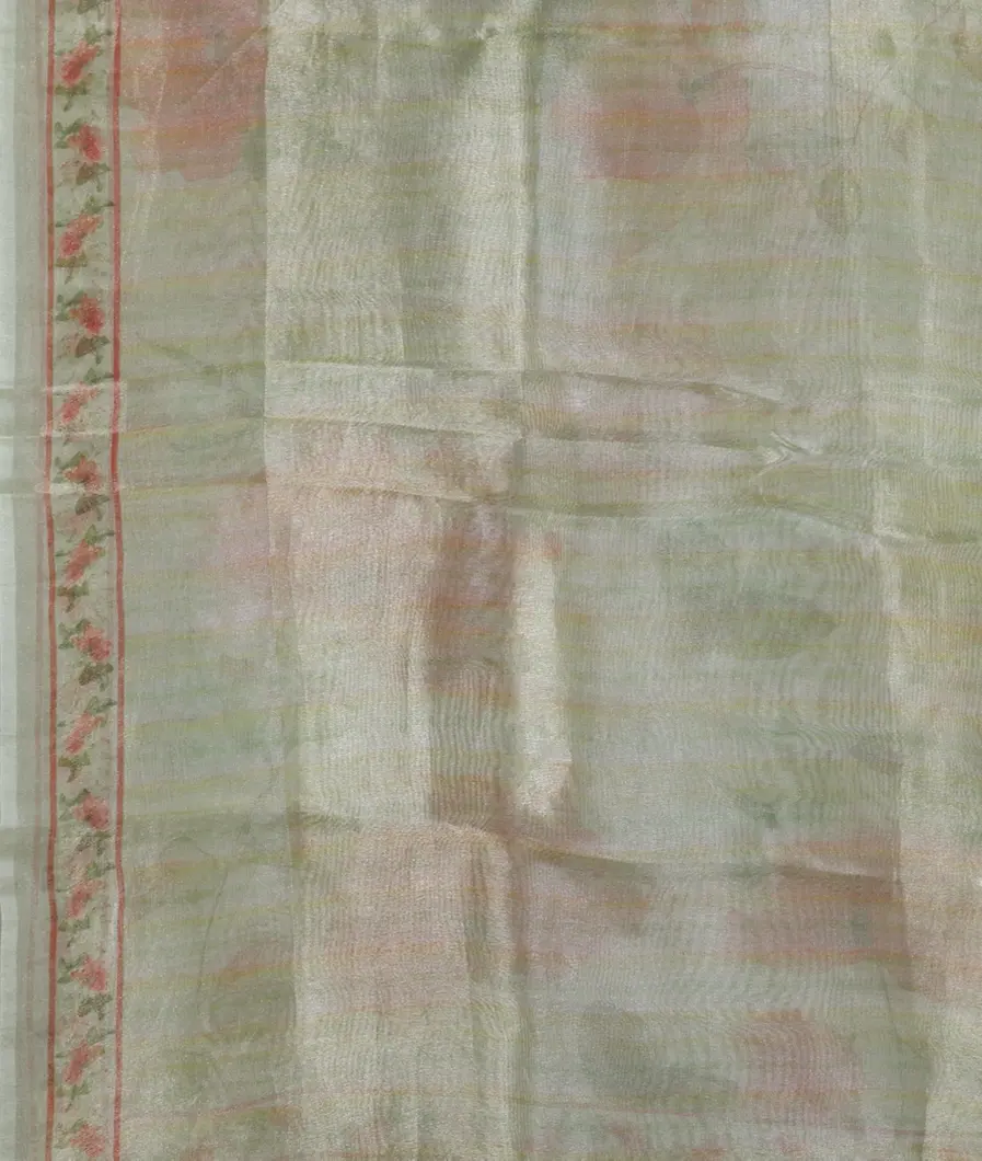 Green Tissue Organza Printed Saree T4496303