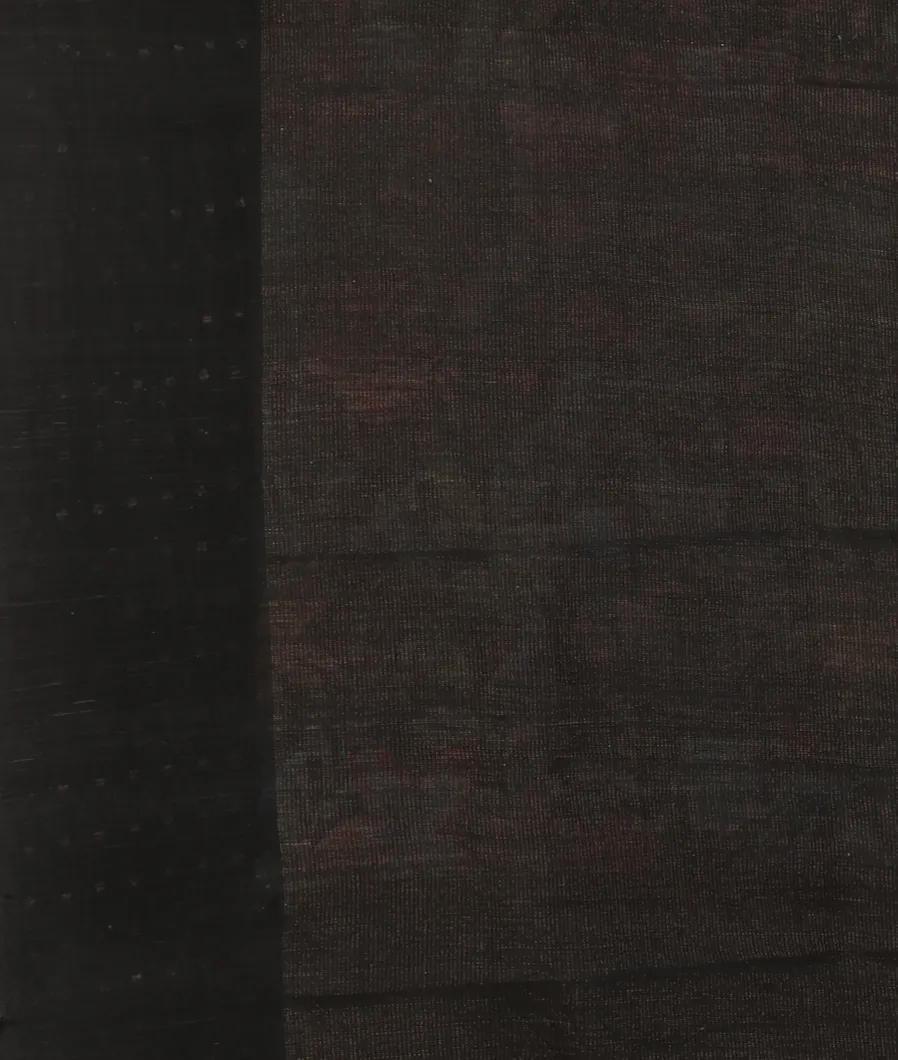 Black Tissue Organza  Printed Saree T4542173