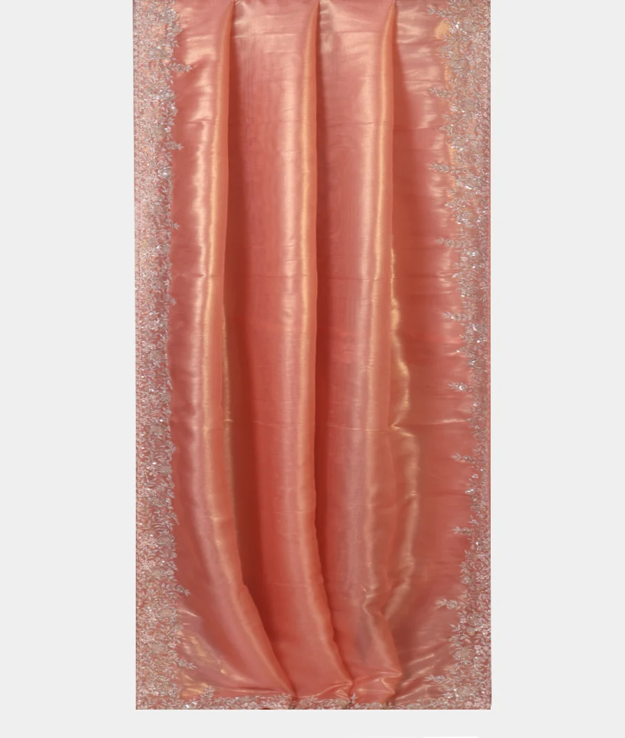 Brown Kora Tissue Organza Embroidery Saree T4503782