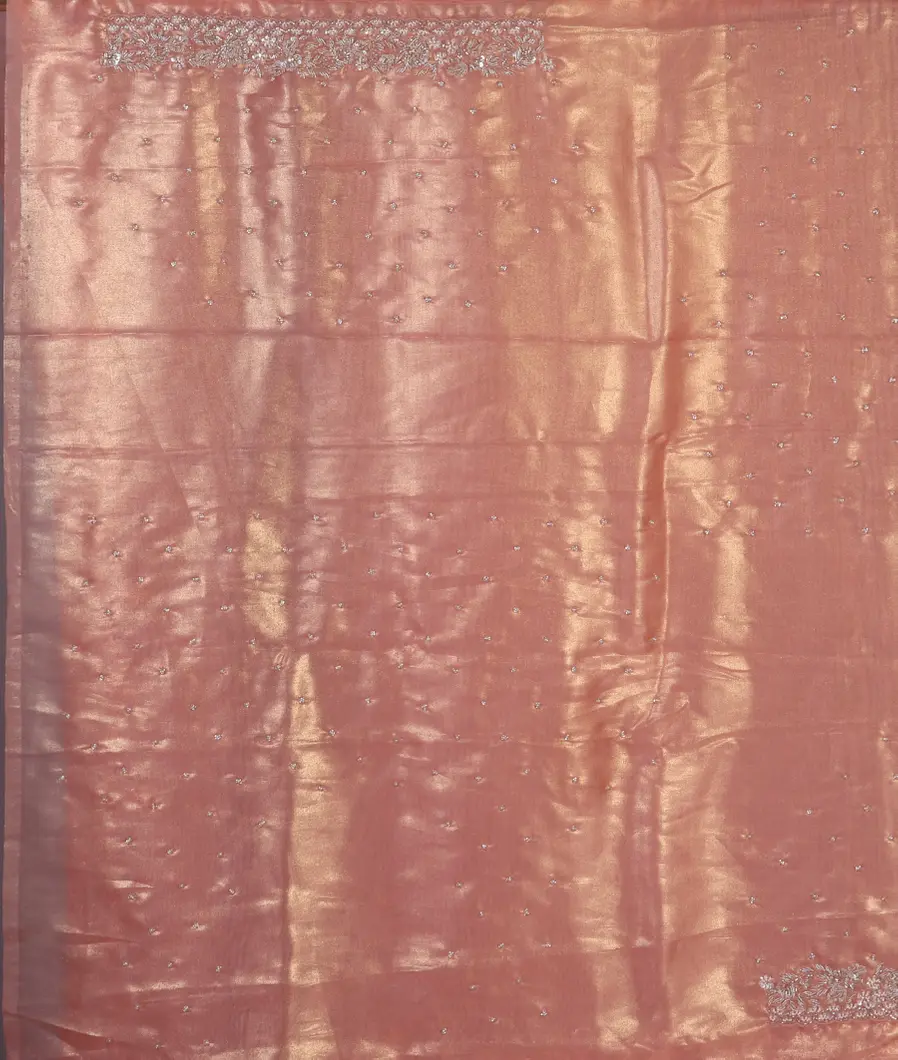 Brown Kora Tissue Organza Embroidery Saree T4503783