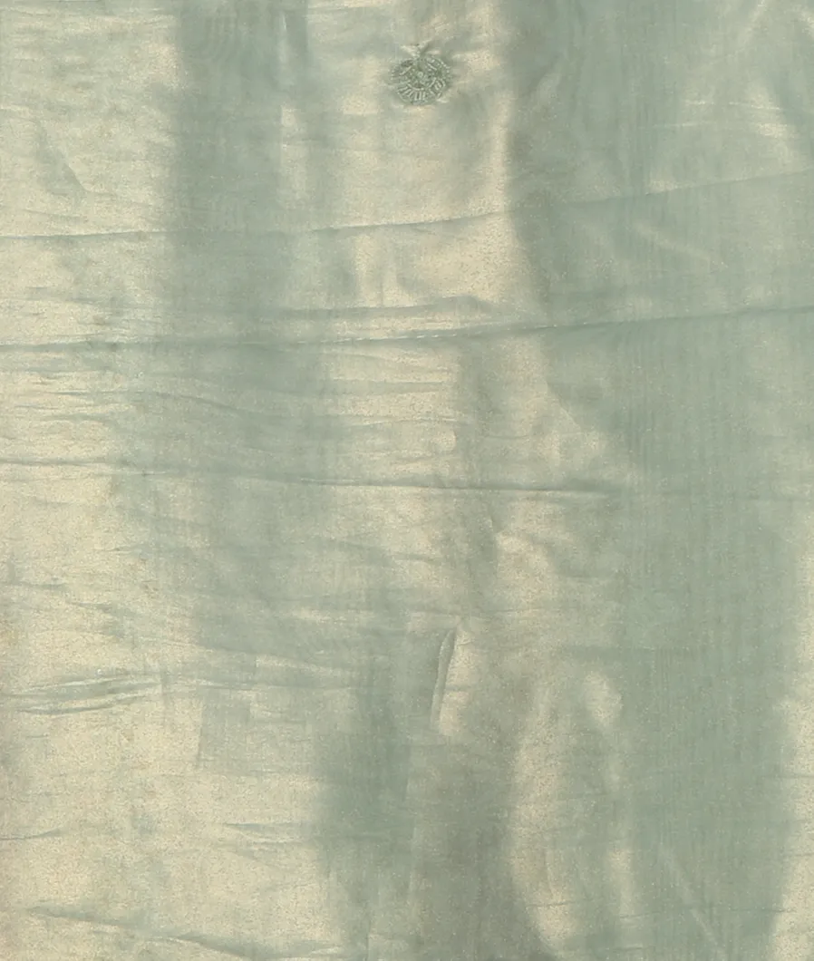 Green Kora Tissue Organza Embroidery Saree T4504093