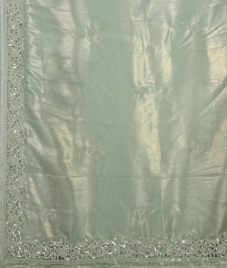 Green Kora Tissue Organza Embroidery Saree T4504094