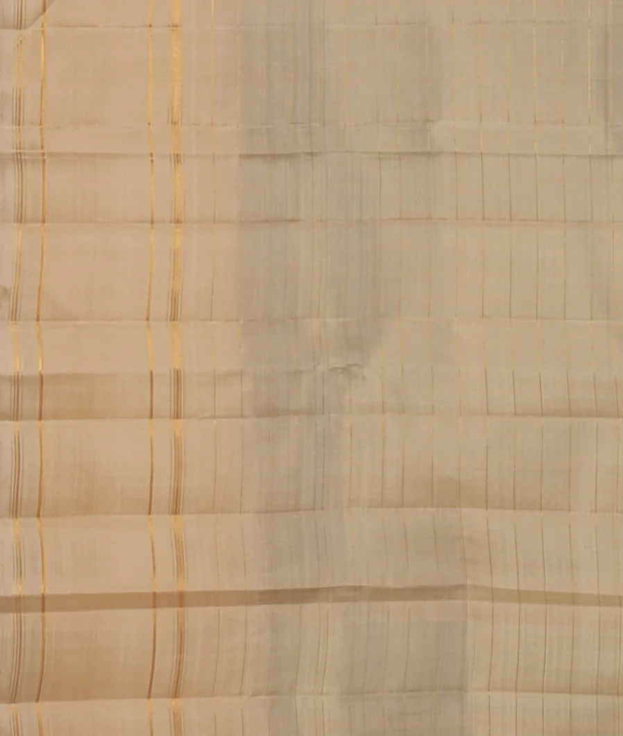 Multicolour Handwoven Kanjivaram Silk Saree T4563513